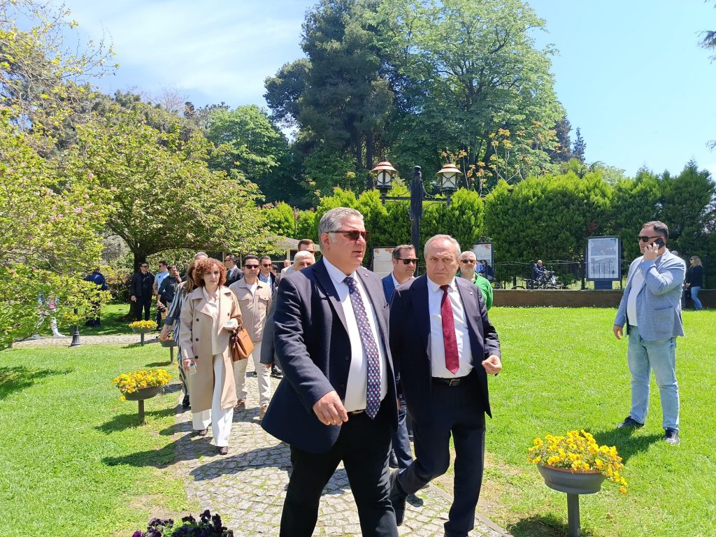 Kökleri Geçmişte, Gölgesi Gelecekte: Anıt Ağaçlarla Uyumlu Kentler